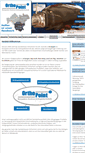 Mobile Screenshot of orthopoint-erlangen.de
